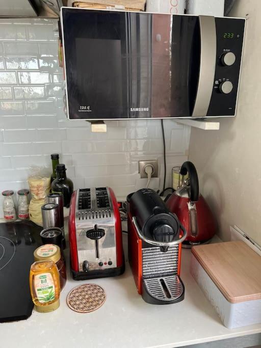 Rooftop Chaleureux Hyper-Centre Apartment Toulouse Ngoại thất bức ảnh