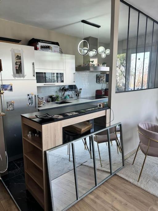 Rooftop Chaleureux Hyper-Centre Apartment Toulouse Ngoại thất bức ảnh
