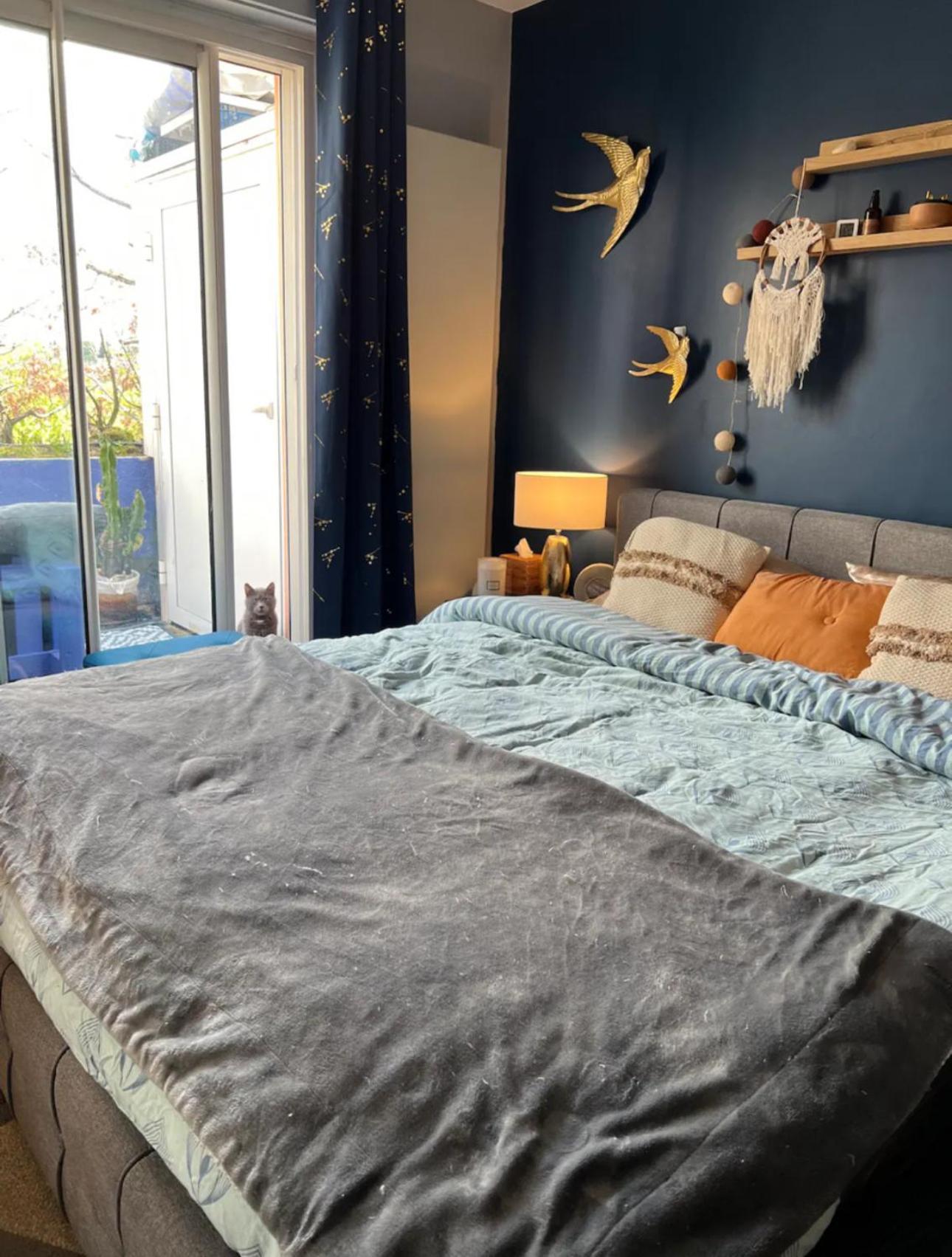 Rooftop Chaleureux Hyper-Centre Apartment Toulouse Ngoại thất bức ảnh